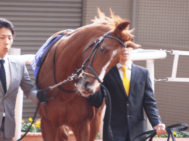 【札幌記念2017】折り合い面で不安のあるエアスピネル、ルメールへの乗り替わりが吉と出るか？