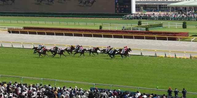 競馬場へ行っても最後まで遊び尽くす必要はない