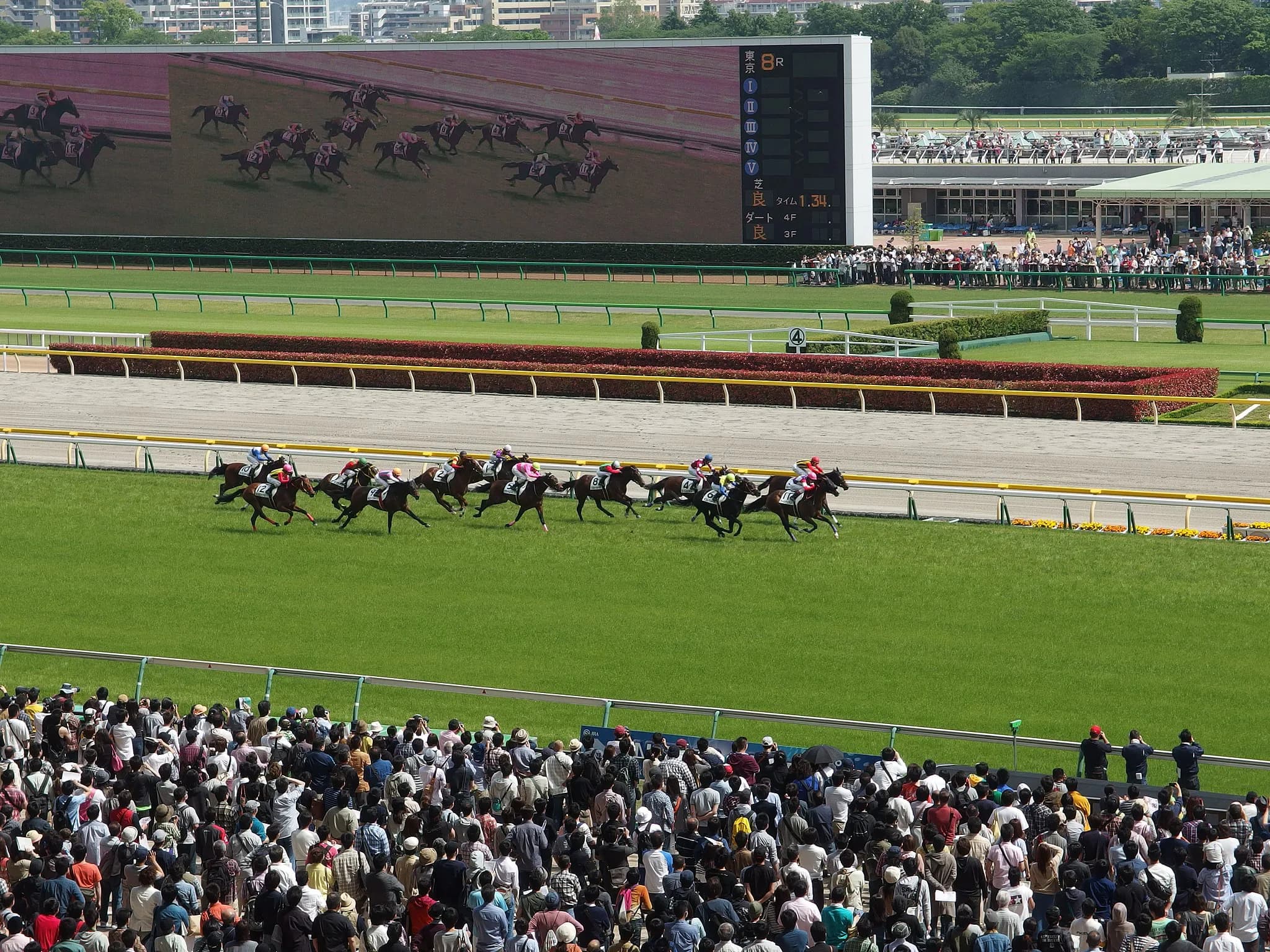 競馬場へ行っても最後まで遊び尽くす必要はない