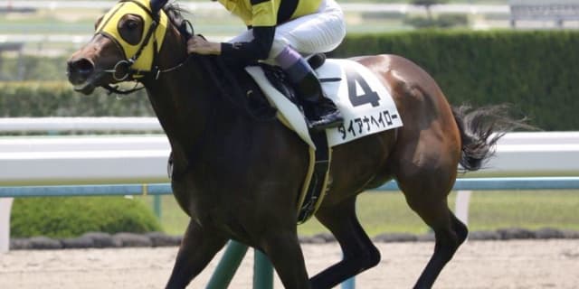 中心馬不在のスプリンターズS、期待の上がり馬ダイアナヘイローは台風の目となるか？