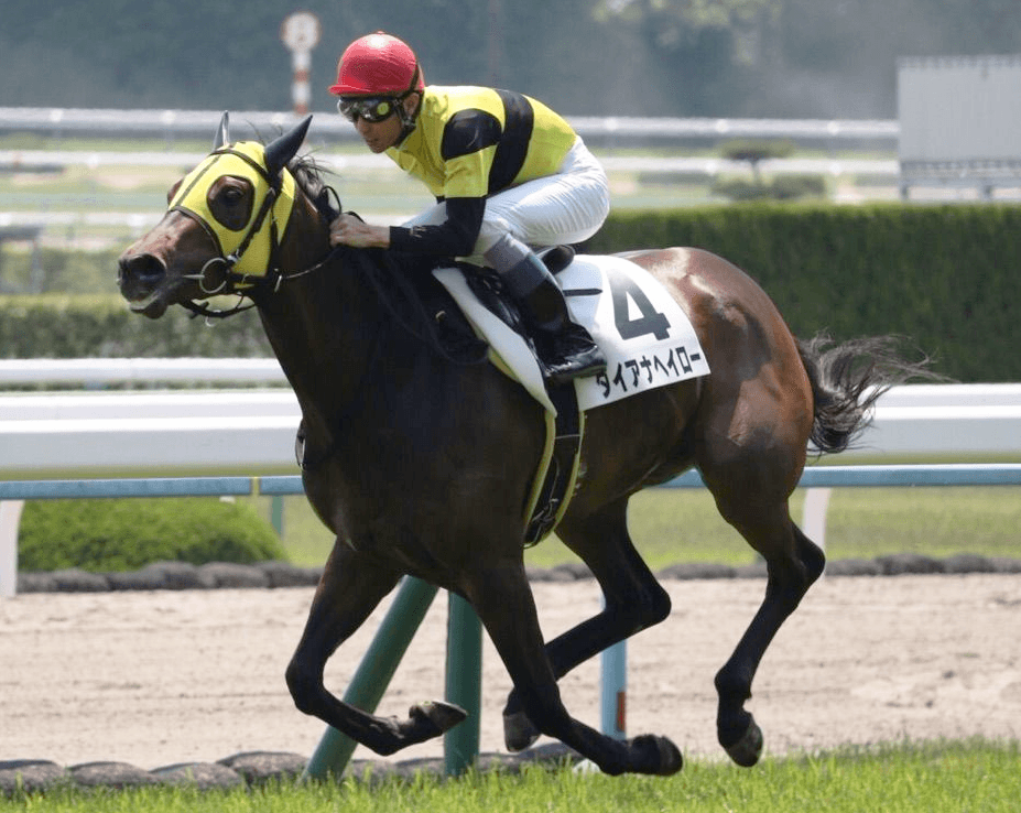 中心馬不在のスプリンターズS、期待の上がり馬ダイアナヘイローは台風の目となるか？