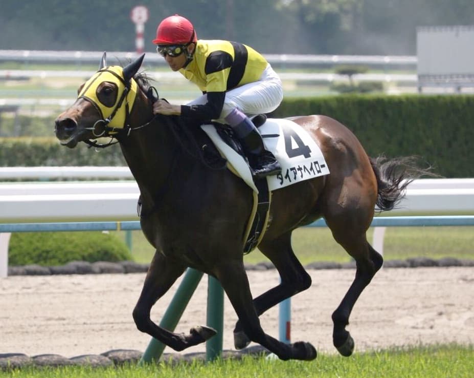 中心馬不在のスプリンターズS、期待の上がり馬ダイアナヘイローは台風の目となるか？