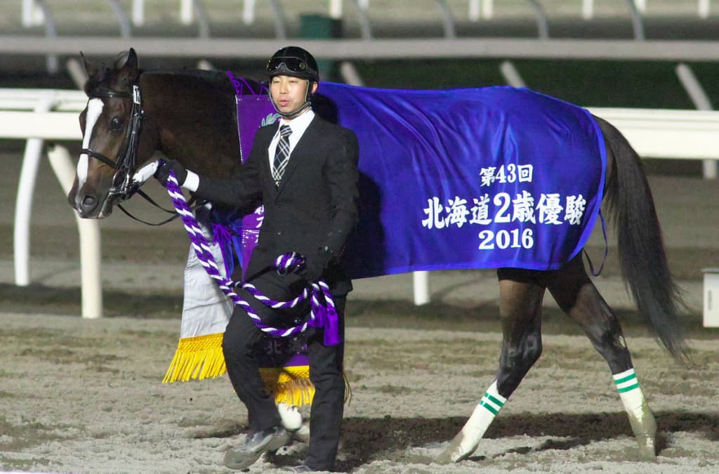 エピカリス、大井競馬へ移籍。完全復活は地方で！