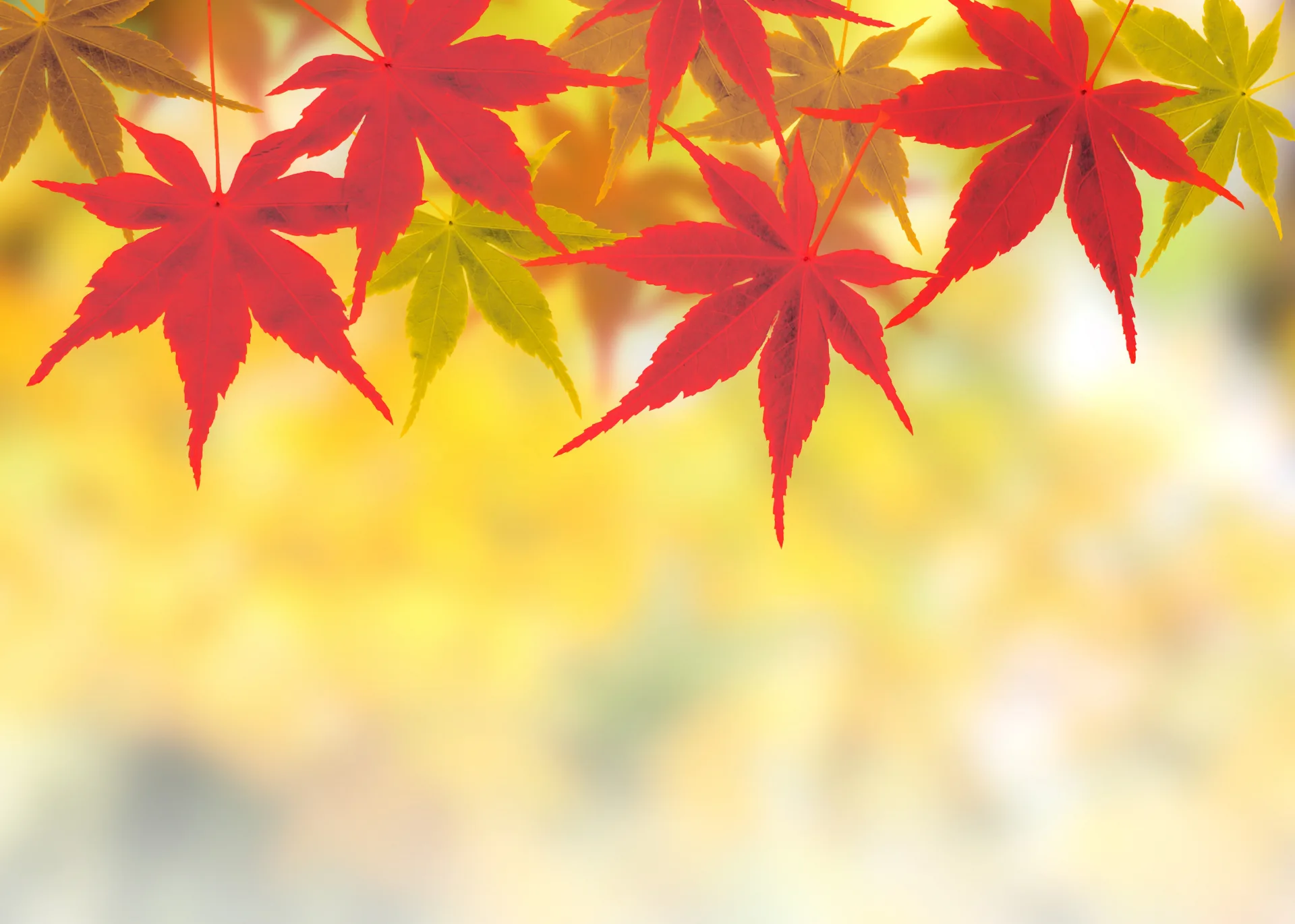ã¯ã€ãŒã³ãã³ããç§è¯è³ãžåæŠïŒ