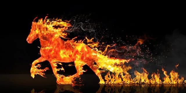 【エルムS予想2017】テイエムジンソク、混沌とする今のダート業界に喝を！