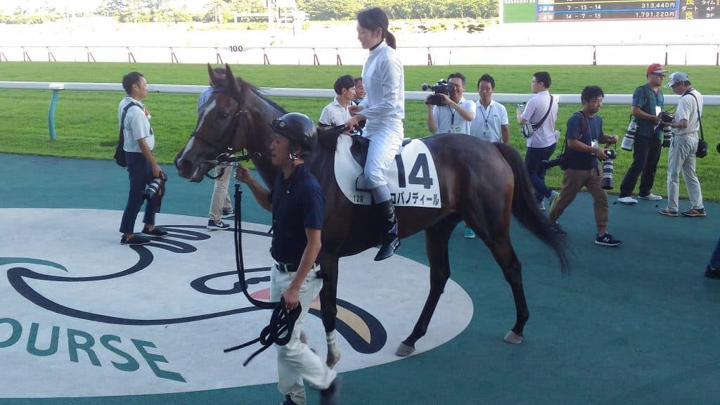 藤田菜七子、YJSトライアル東日本で首位に。年末競馬の盛り上げに一役買うことは出来るのか？