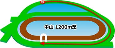 中山競馬場　芝1200m