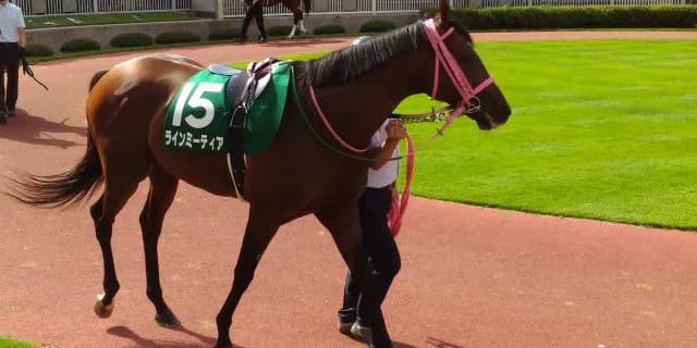 ラインミーティア、蹄葉炎により安楽死