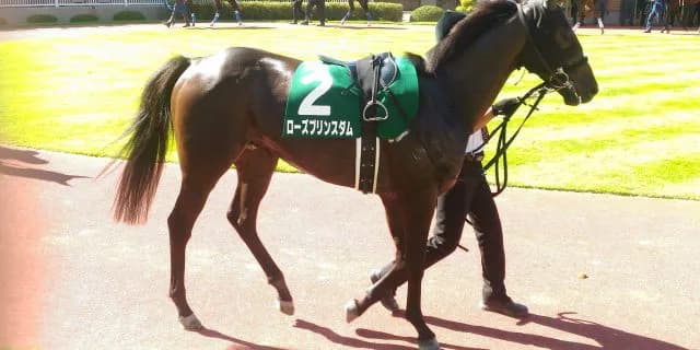 【東海S予想2018】4歳となったローズプリンスダムの成長力に期待！