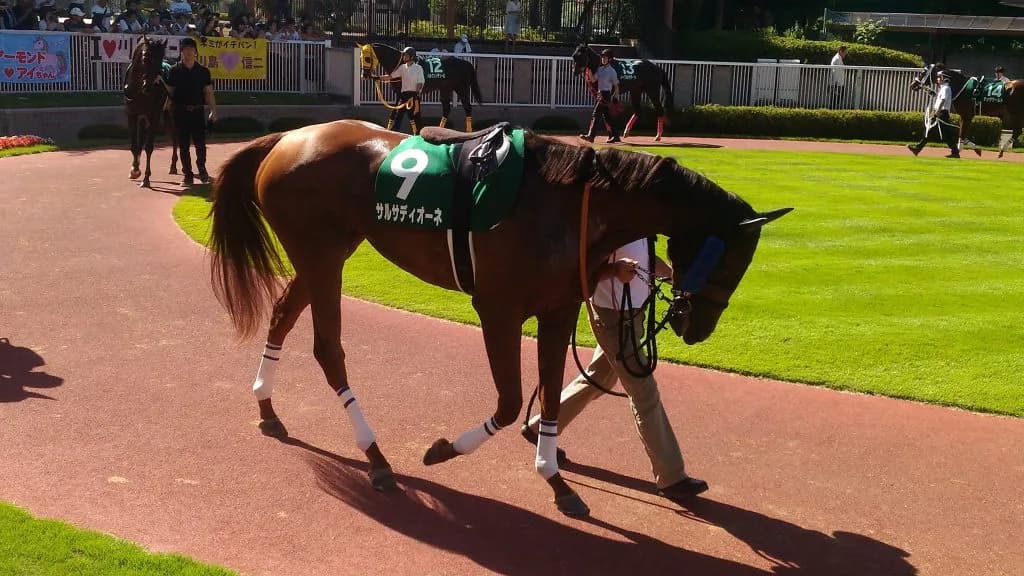 【JBCレディスクラシック2022予想】地方の古豪サルサディオーネ、中央馬を迎え撃つ！