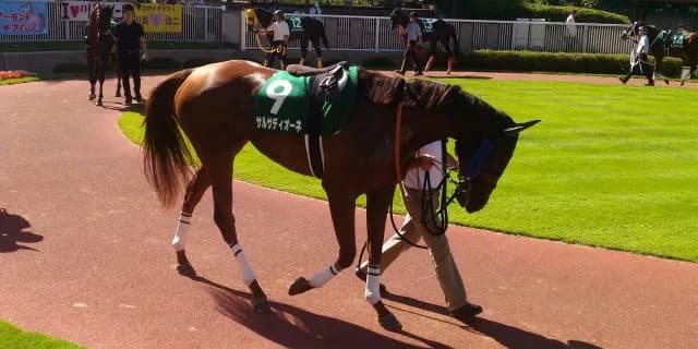 【JBCレディスクラシック2022予想】地方の古豪サルサディオーネ、中央馬を迎え撃つ！