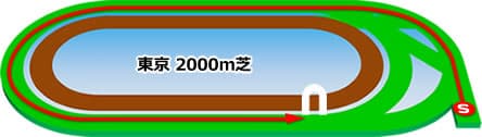 東京競馬場　芝2000m
