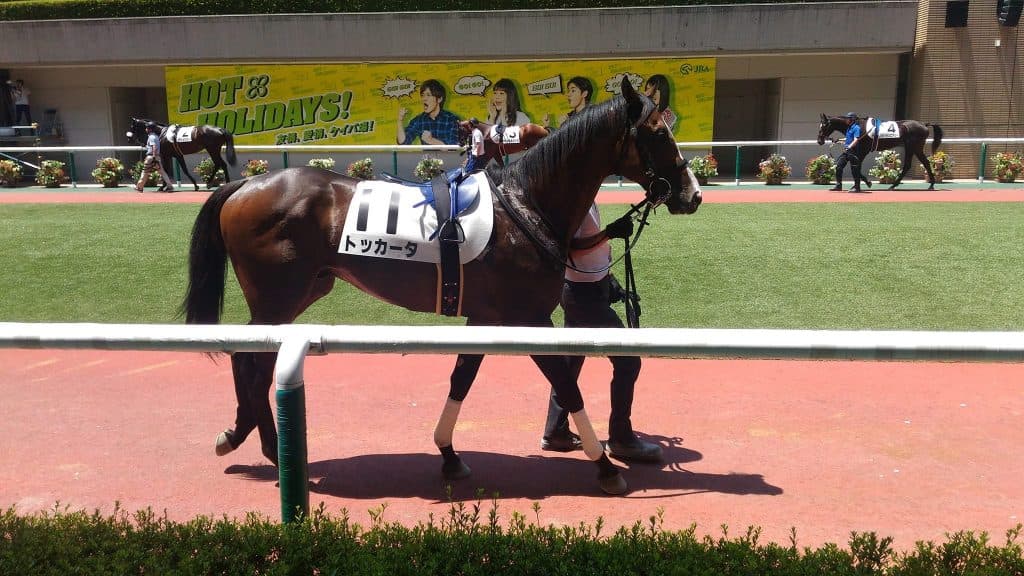 【新潟2歳ステークス2017予想】長い直線で魅力十分！トッカータの末脚生きる