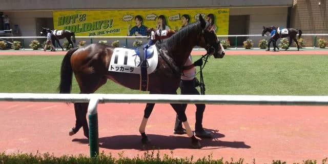 【新潟2歳ステークス2017予想】長い直線で魅力十分！トッカータの末脚生きる