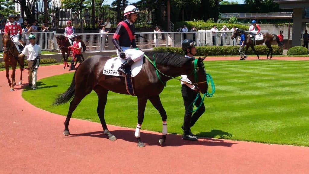 【エリザベス女王杯2019予想】プラス要素多いウラヌスチャーム、G1初挑戦でも勝機あり