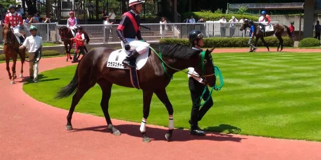 【エリザベス女王杯2019予想】プラス要素多いウラヌスチャーム、G1初挑戦でも勝機あり