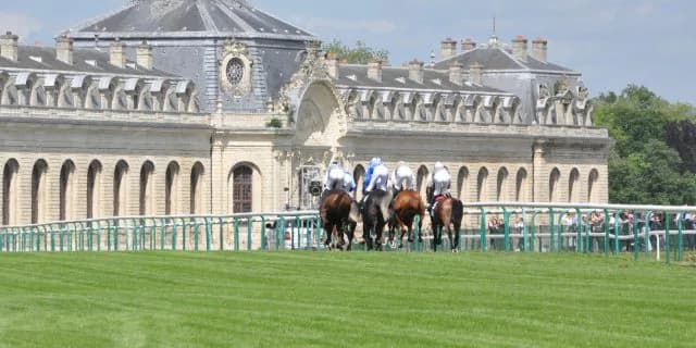 【フォワ賞】サトノダイヤモンドは1番ゲート、本番へ向けて好感触掴めるか