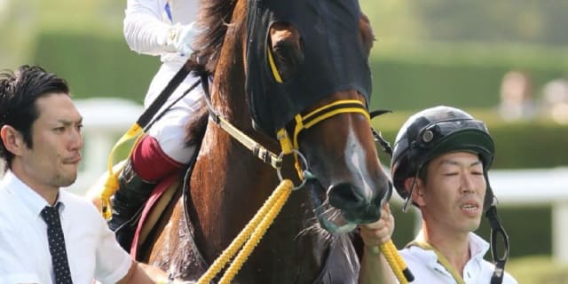 【スプリンターズＳ】ビッグアーサー、復活の壁は高い