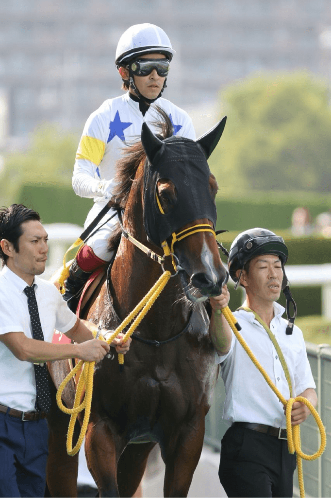 ビッグアーサー引退、今後は北海道で種牡馬に