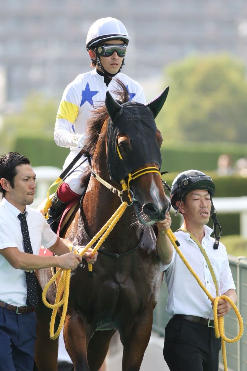 ビッグアーサー引退、今後は北海道で種牡馬に