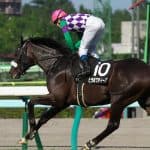 青葉賞勝ちのヒラボクディープが引退、種牡馬へ
