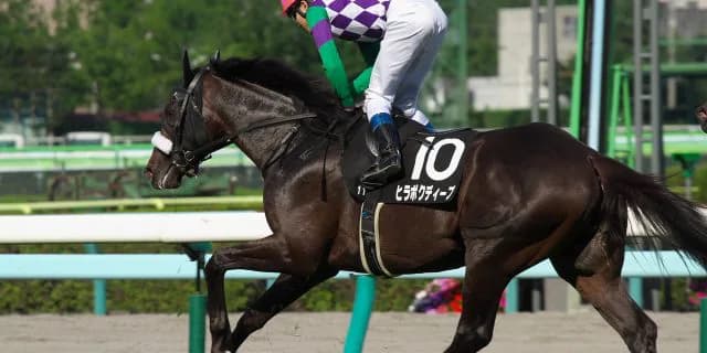 青葉賞勝ちのヒラボクディープが引退、種牡馬へ