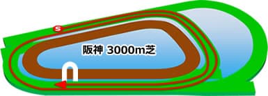 阪神競馬場　芝3000m