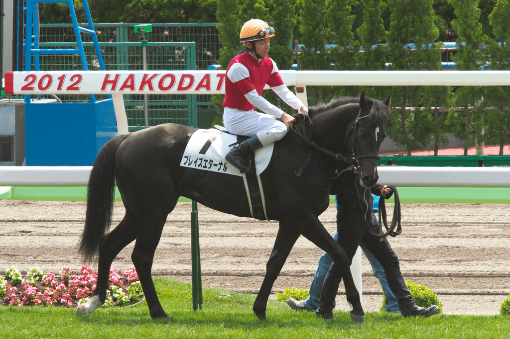 【セントウルステークス2017予想】阪神競馬場替わりが狙い目、プレイズエターナルチャンス十分！