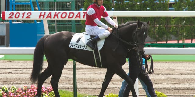 【セントウルステークス2017予想】阪神競馬場替わりが狙い目、プレイズエターナルチャンス十分！
