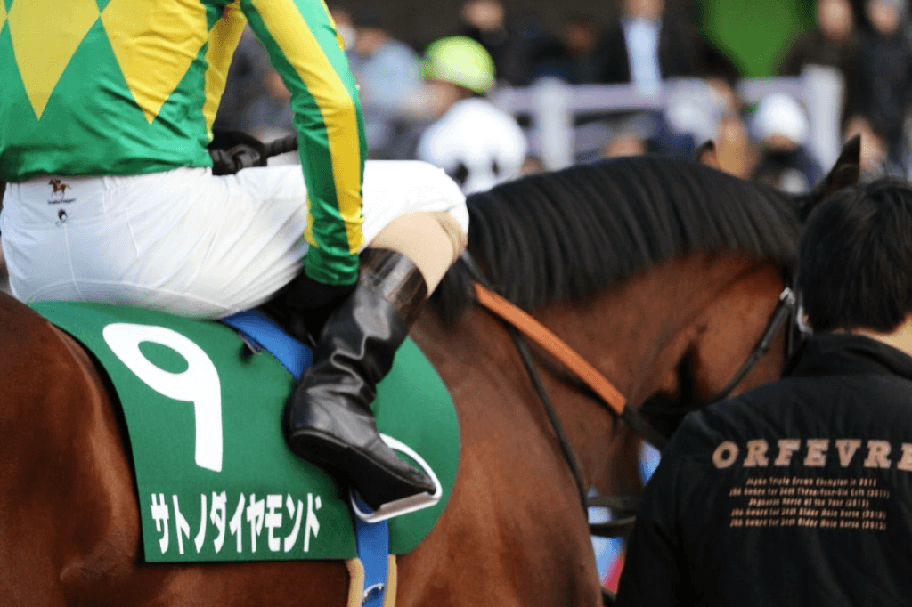 【金鯱賞予想2018】復活目論むサトノダイヤモンド、迎え撃つは成長順調のスワーヴリチャード