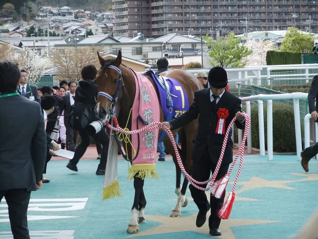 【赤松賞2017予想】G1馬の妹たちが激突！
