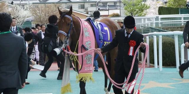 【赤松賞2017予想】G1馬の妹たちが激突！