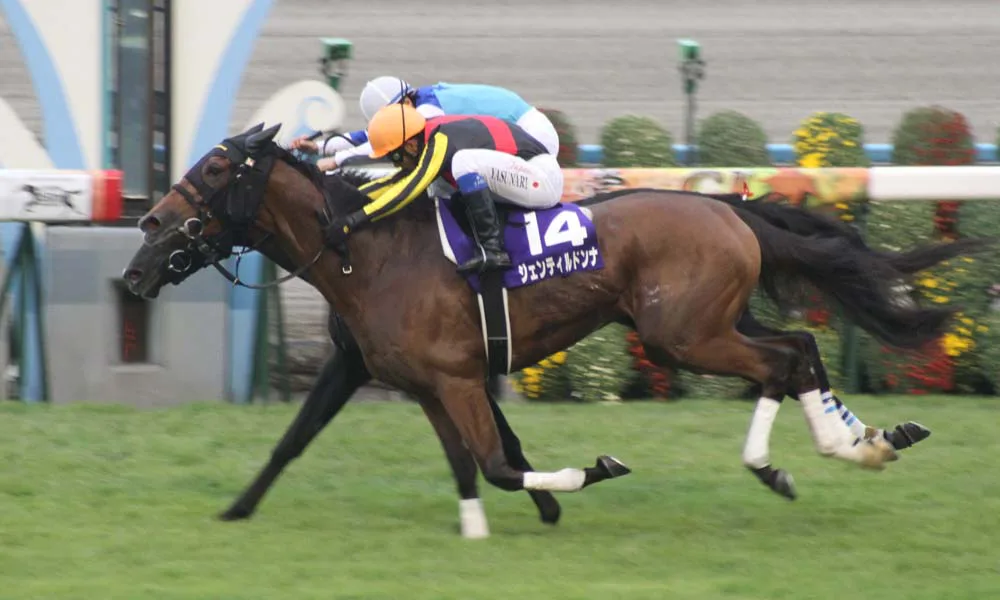 【JRA】名牝ジェンティルドンナが16歳で死去、牝馬三冠、ジャパンC連覇などG1・7勝の偉業残す