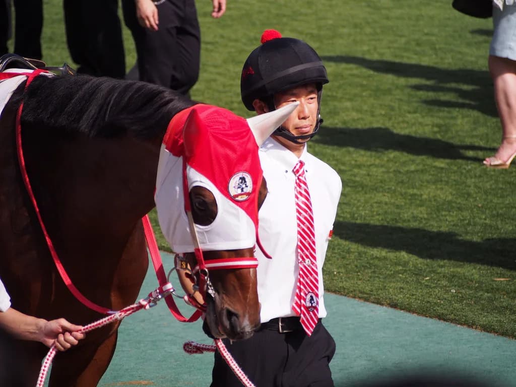 【天皇賞秋2017予想】勝利に一番近いのはリアルスティール！！