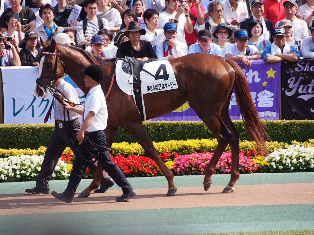 【宝塚記念2019予想】スワーヴリチャードの取捨は？不安材料多いが能力は一級