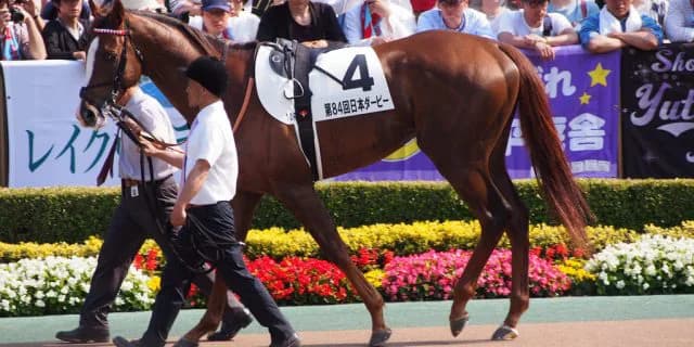 【アルゼンチン共和国杯2017】ダービー2着馬、ついに秋始動！