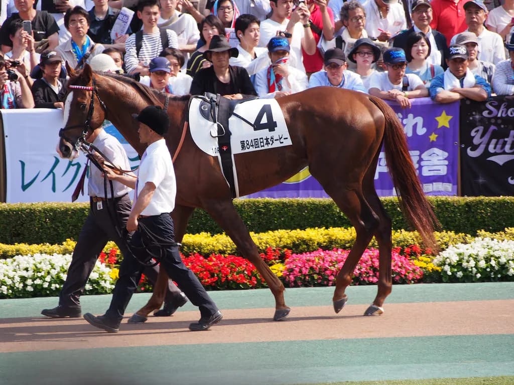 【アルゼンチン共和国杯2017】ダービー2着馬、ついに秋始動！