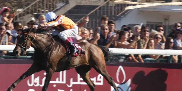 リーディングサイアー以外の産駒のほうが条件の異なる馬場への順応性が高いのかもしれない