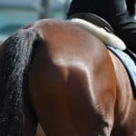 【北九州記念2026】53kgの軽ハンデに状態絶好！3歳牝馬デアヴェローチェが夏の主役候補に浮上