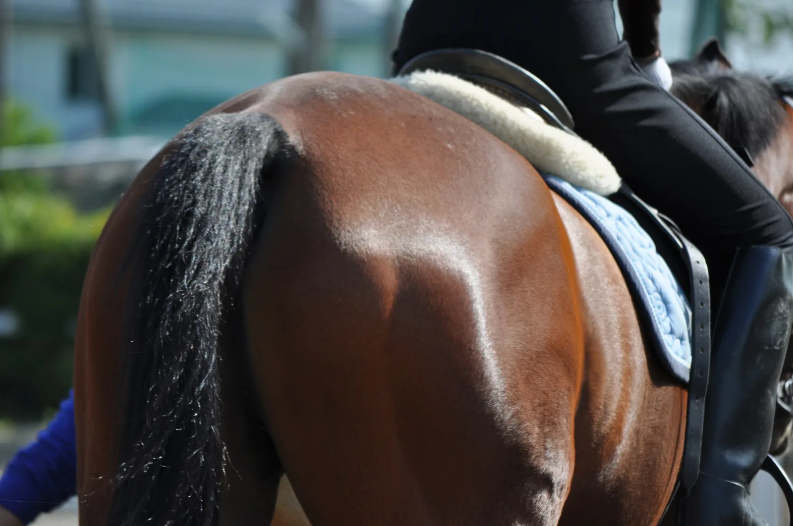 【青葉賞2021予想】馬体と馬力自慢のグレアリングアイが腕っぷし自慢の剛腕内田騎手とのコンビでダービーへ！