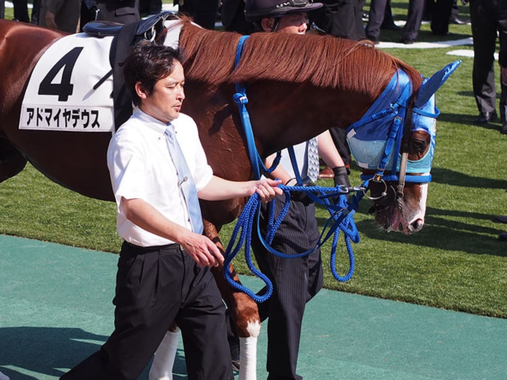 アドマイヤデウス、豪州で死亡