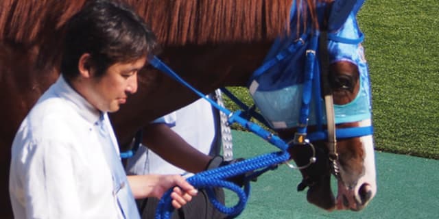 アドマイヤデウス、未だ懸命な治療が行われている状況。生死の決断、本日くだされる