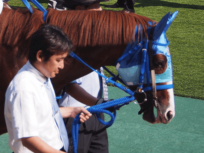 アドマイヤデウス靭帯損傷、コーフィールドCは回避