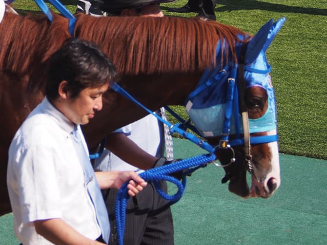 アドマイヤデウス靭帯損傷、コーフィールドCは回避