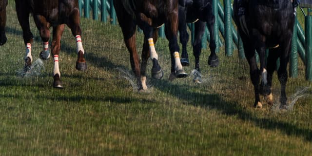 【天皇賞秋予想2017】重馬場、不良馬場、道悪に強い馬は？各馬の重馬場巧拙