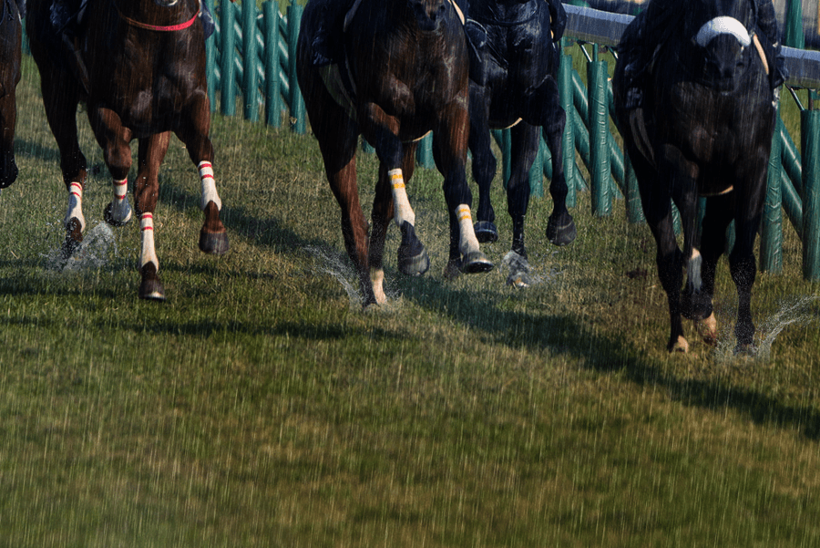 【CBC賞2019予想】狙い目は重馬場巧者の穴馬！？