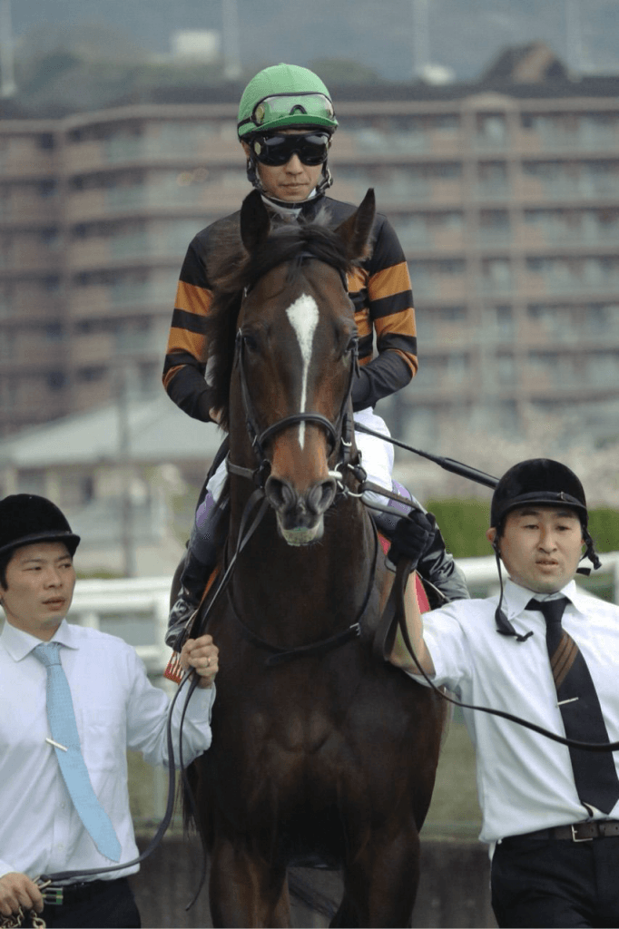 【有馬記念予想2017】素直にキタサンブラックの相手探しで