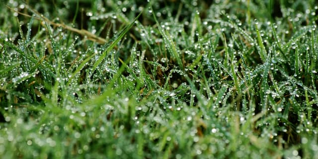 【NHKマイルC予想2020】激走が期待される“穴馬”はこの馬だ！