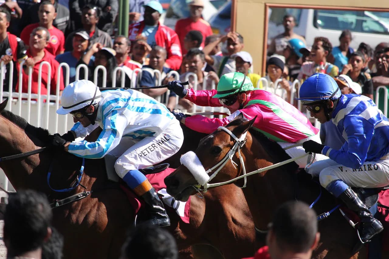 【注目新馬】2億6000万円落札馬＆良血の娘の対決