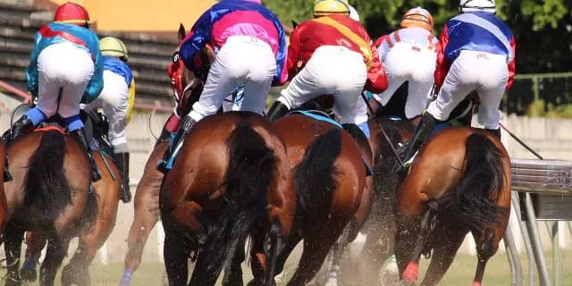 向かう所敵なしのウィンクスを止めるのはこの2頭か！？